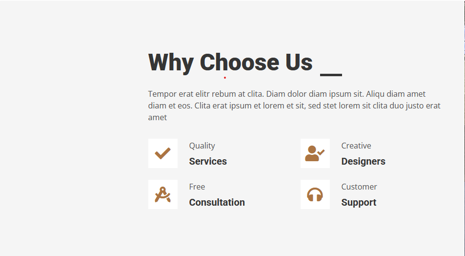 Why Choose Us